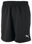 Puma Foundation Training Shorts 03