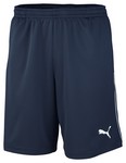 Puma Foundation Training Shorts Kids 06