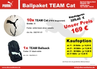 Ballpaket TEAM Cat