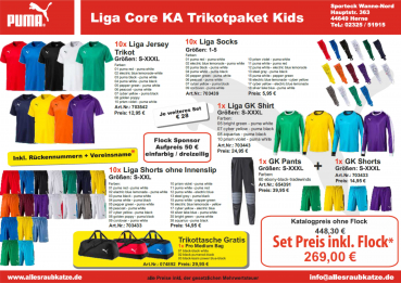 PUMA Trikotsatz Liga Core Trikot Junior