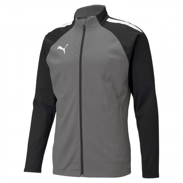 Puma teamLIGA Sideline Jacke grau